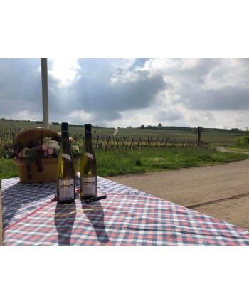 Pinot Blanc Hohnacker Bio*