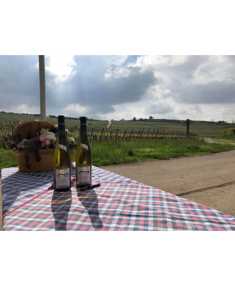Pinot Blanc Hohnacker Bio*