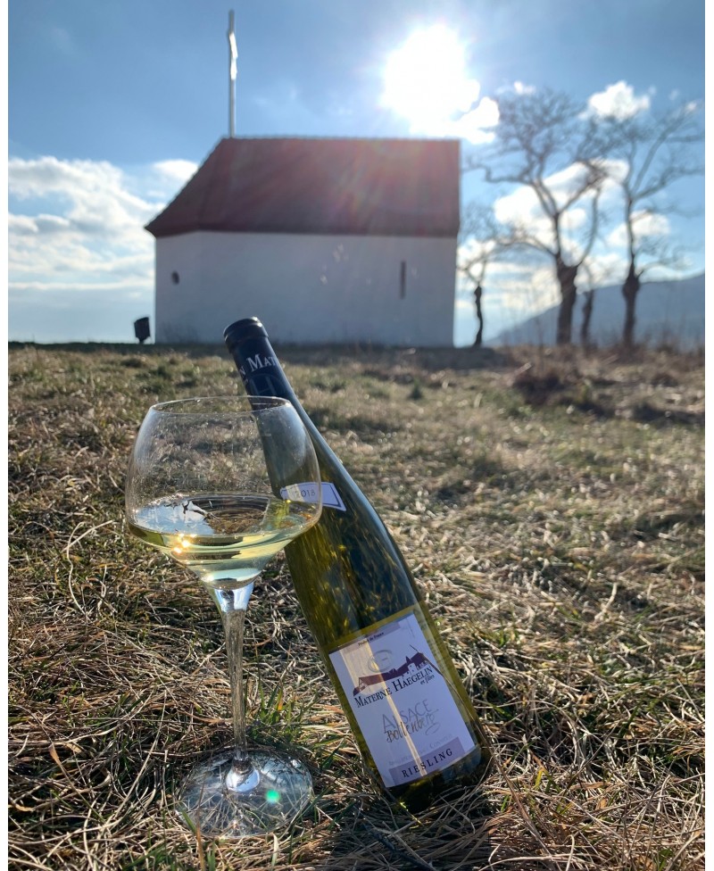 Riesling Bollenberg