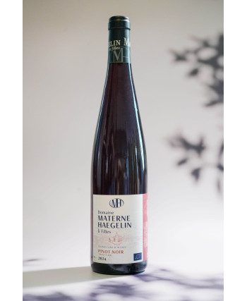 Pinot Noir Tradition Bio*